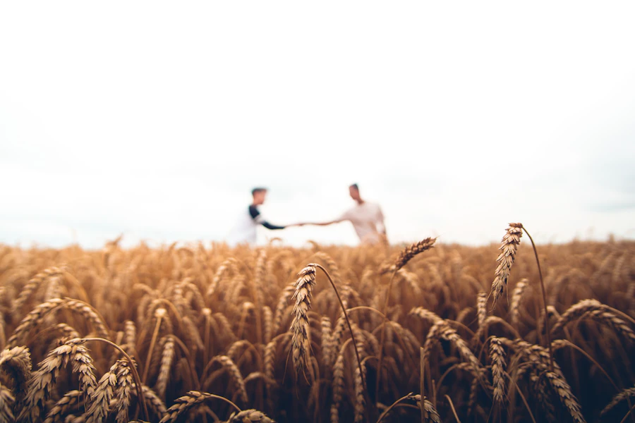 Agriculture, Mechanization & Agribusiness Trade